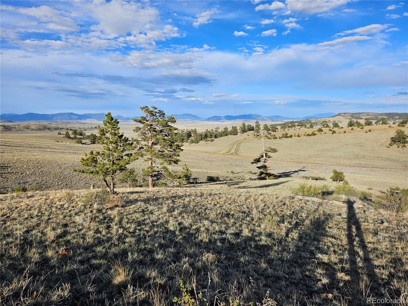 Antero Rd Lot 5071, Hartsel, CO 80449