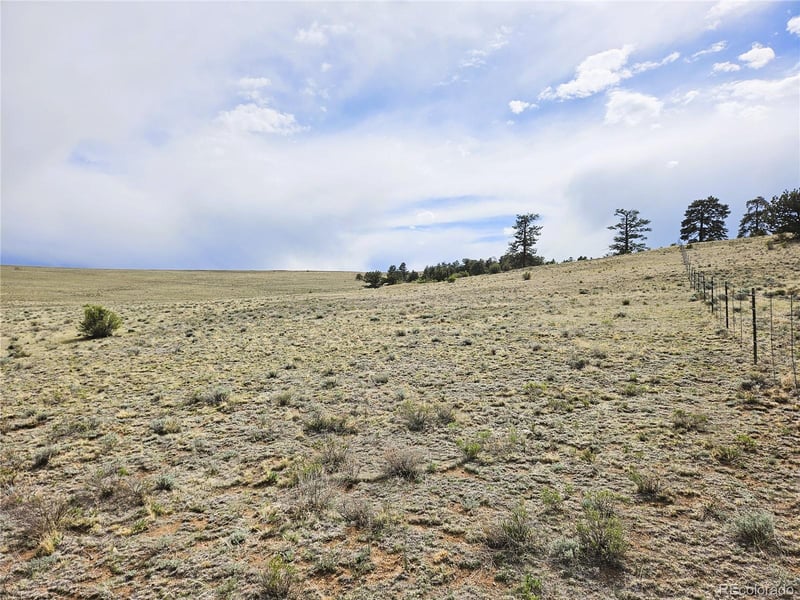 Chato Rd, Hartsel, CO 80449