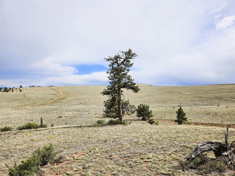 Chato Rd, Hartsel, CO 80449