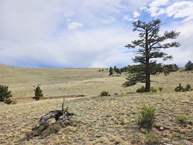 Chato Rd, Hartsel, CO 80449