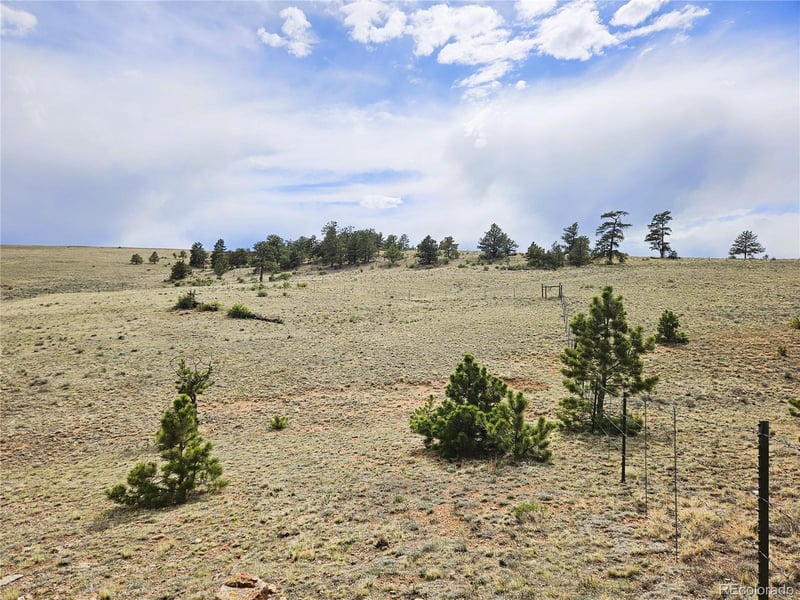 Chato Rd, Hartsel, CO 80449