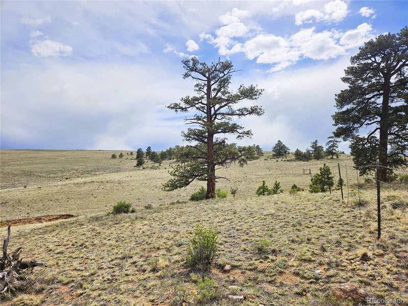 Chato Rd, Hartsel, CO 80449