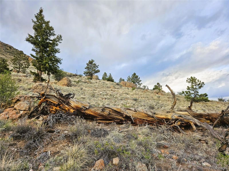 Sioux Rd Lot 6271, Hartsel, CO 80449
