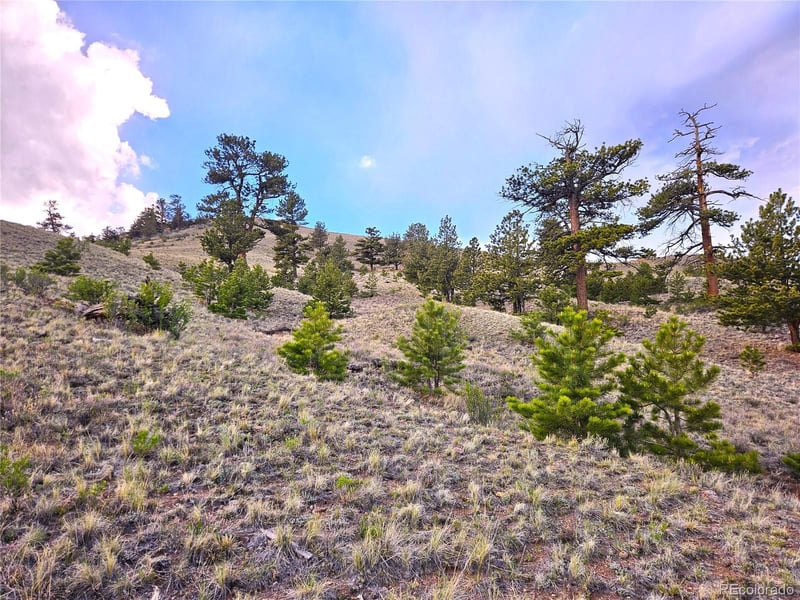 Yuma Rd Lot 6231, Hartsel, CO 80449