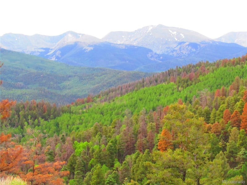 LOT 6324 Barbara Rd Lot 6324, San Luis, CO 81152