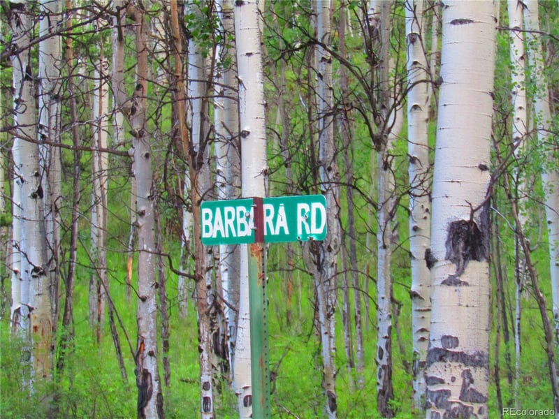 LOT 6324 Barbara Rd Lot 6324, San Luis, CO 81152
