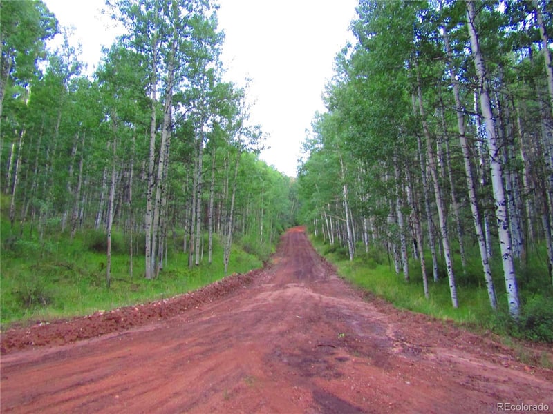LOT 6324 Barbara Rd Lot 6324, San Luis, CO 81152