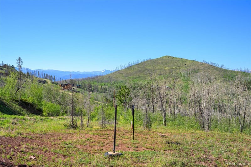 463 County Road 414, Granby, CO 80446