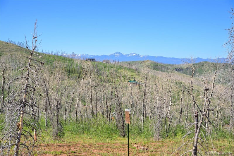 463 County Road 414, Granby, CO 80446