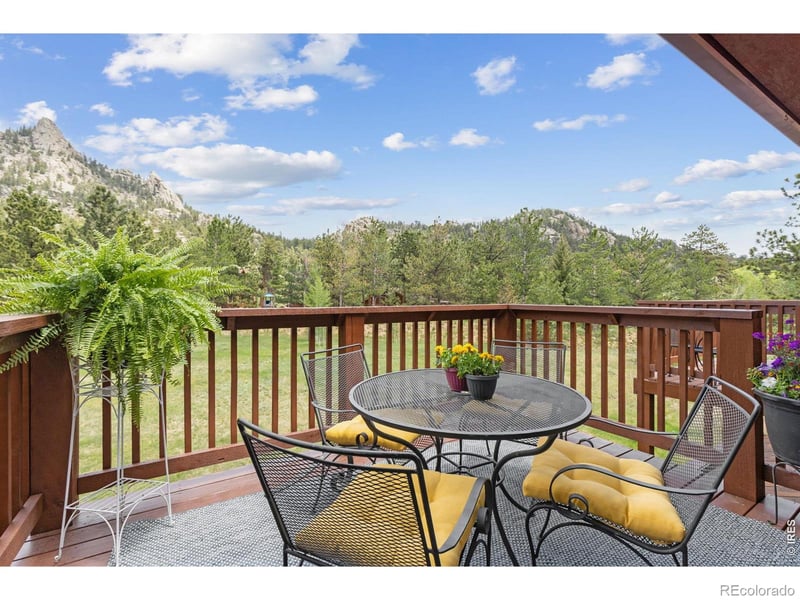 503 Fall River Ln #D, Estes Park, CO 80517