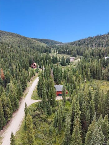 107 Scr 675, Breckenridge, CO 80424