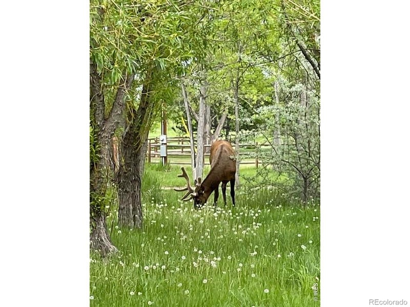 435 Willowrock Dr, Loveland, CO 80537