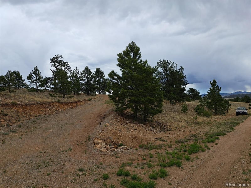 669 Hiawatha Cir, Hartsel, CO 80449