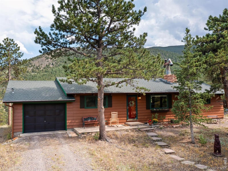 839 Ski Rd, Allenspark, CO 80510