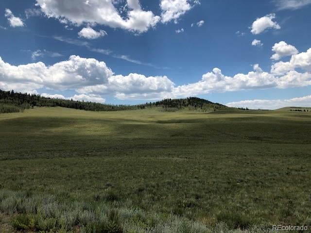 Chickasaw Rd, Hartsel, CO 80449