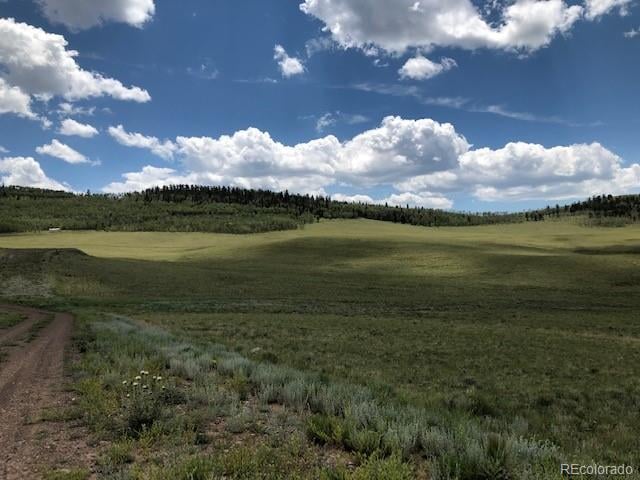 Chickasaw Rd, Hartsel, CO 80449