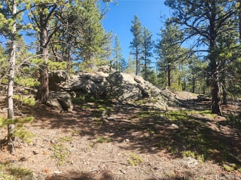 13 Paradise Valley Pw, Black Hawk, CO 80422
