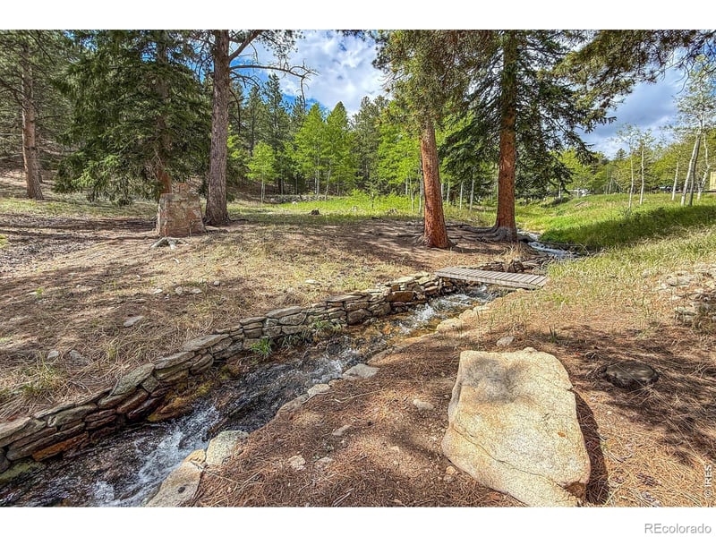 412 Highway 7 Business, Allenspark, CO 80510