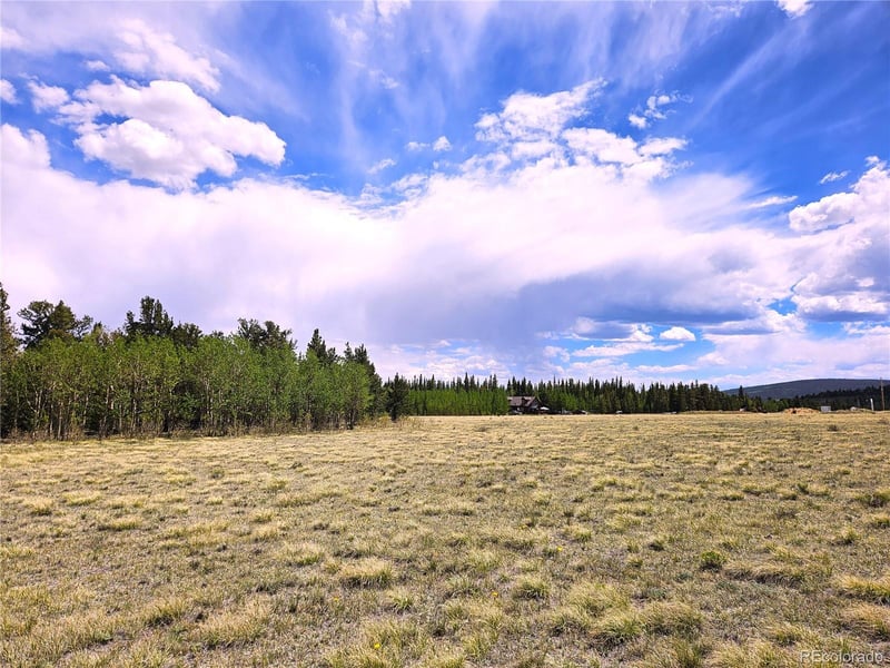 Foxtail Dr Lot 142, Fairplay, CO 80440