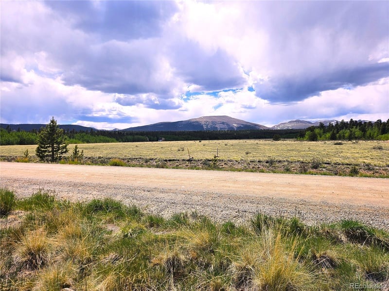 Foxtail Dr Lot 142, Fairplay, CO 80440