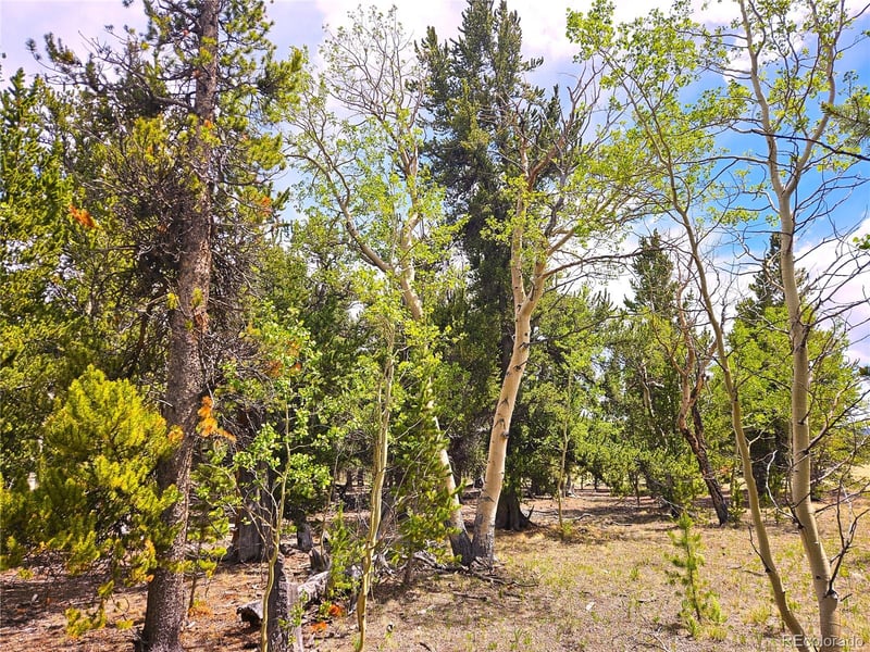 Foxtail Dr Lot 142, Fairplay, CO 80440