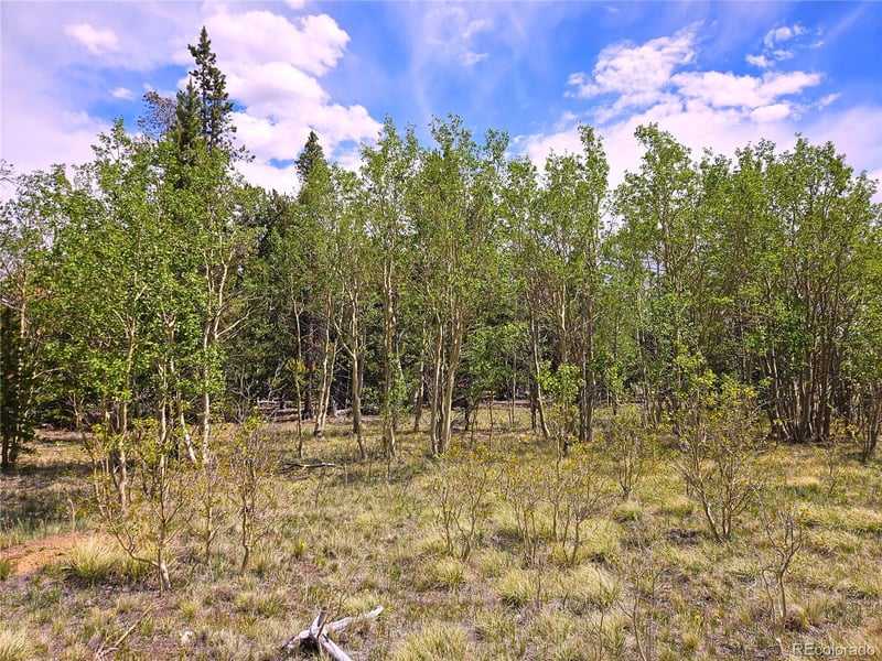 Foxtail Dr Lot 142, Fairplay, CO 80440