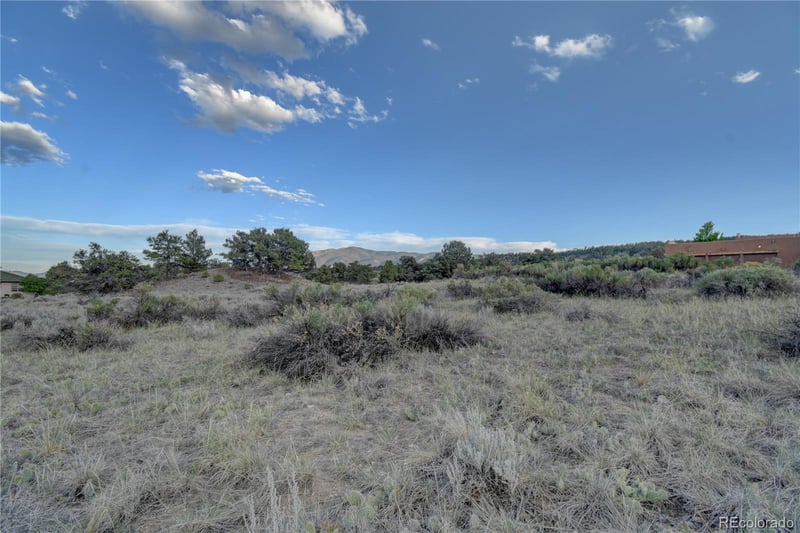 9773 Arroyo Dr, Salida, CO 81201