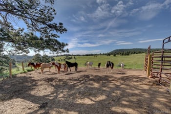 25997 Mountain View Rd, Golden, CO 80401