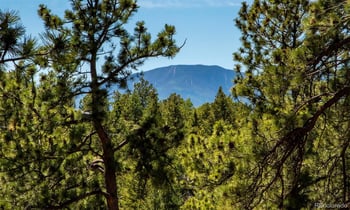 25997 Mountain View Rd, Golden, CO 80401