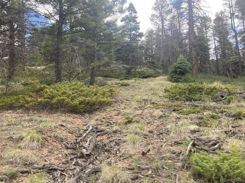 LOT 6328 Jacquez Rd Lot 6328, San Luis, CO 81152