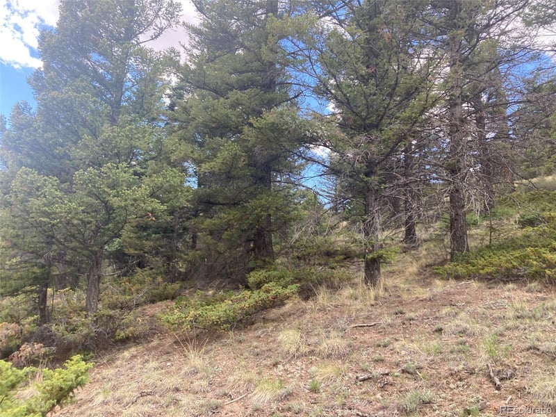 LOT 6328 Jacquez Rd Lot 6328, San Luis, CO 81152