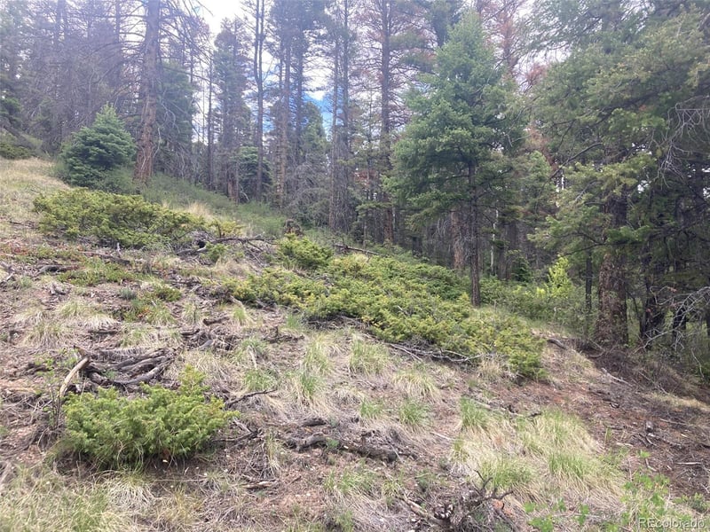 LOT 6328 Jacquez Rd Lot 6328, San Luis, CO 81152