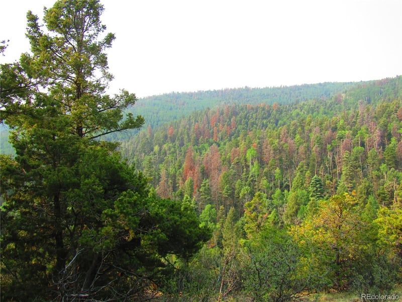 LOT 6328 Jacquez Rd Lot 6328, San Luis, CO 81152