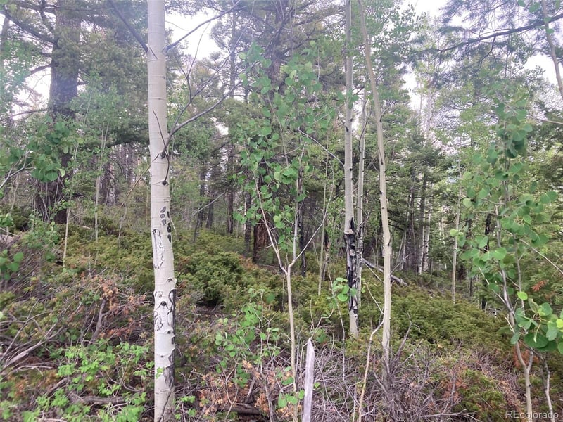LOT 6351 Aragon Rd Lot 6351, San Luis, CO 81152