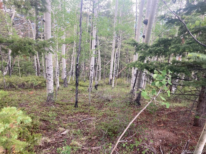 LOT 6351 Aragon Rd Lot 6351, San Luis, CO 81152