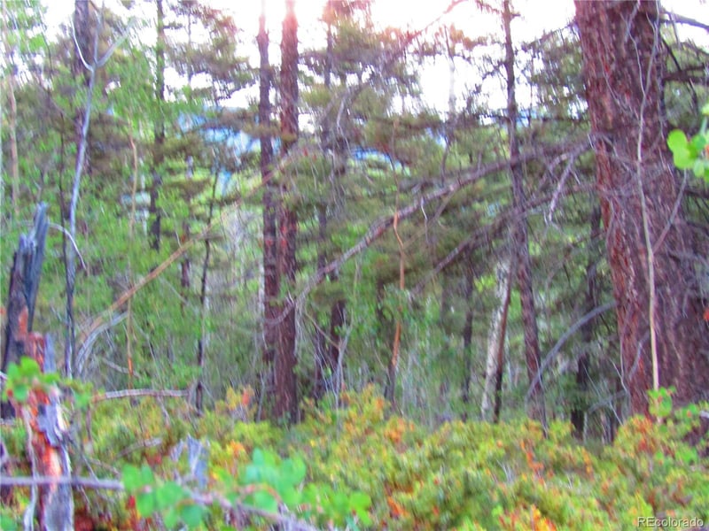 LOT 6351 Aragon Rd Lot 6351, San Luis, CO 81152