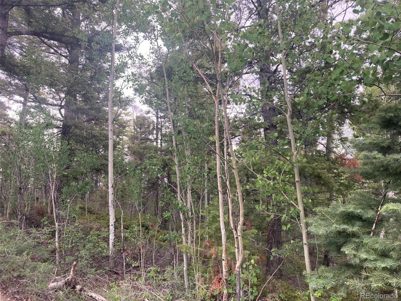 LOT 6351 Aragon Rd Lot 6351, San Luis, CO 81152