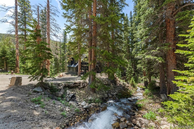 46 Silver Creek Rd, Idaho Springs, CO 80452