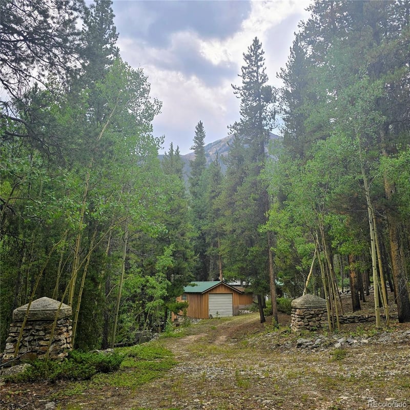 16101 Rob Roy Ms Mc, Nathrop, CO 81236