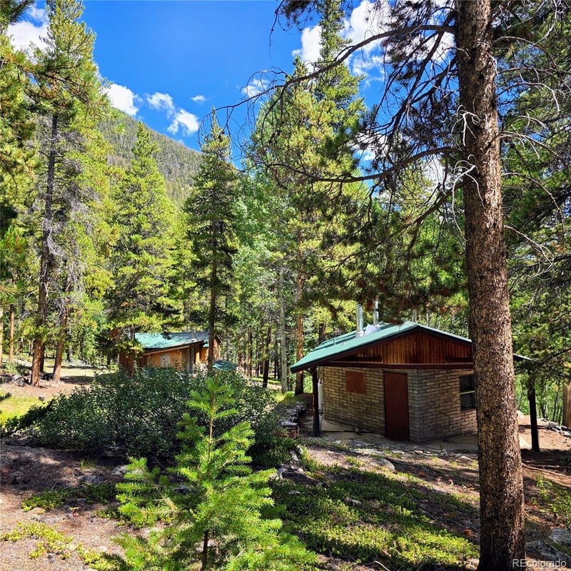 16101 Rob Roy Ms Mc, Nathrop, CO 81236