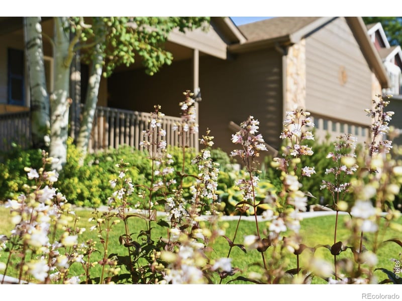 277 Sand Grouse Dr, Loveland, CO 80537