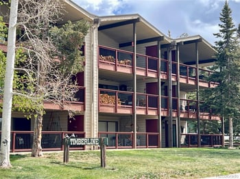 244 Lodgepole St #15, Dillon, CO 80435