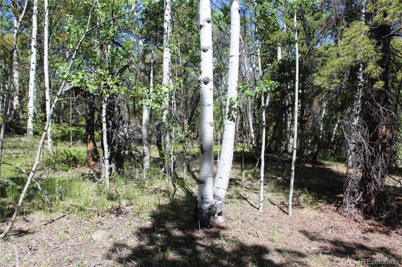 6050 Virginia Canyon Rd Lot 6050, Central City, CO 80427