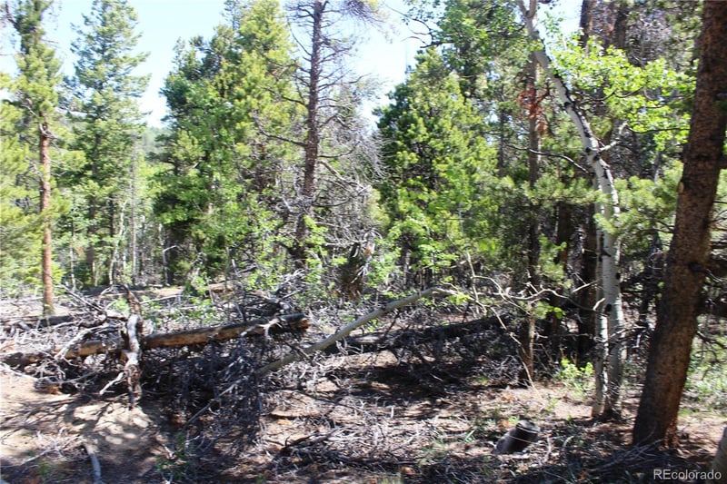 6050 Virginia Canyon Rd Lot 6050, Central City, CO 80427