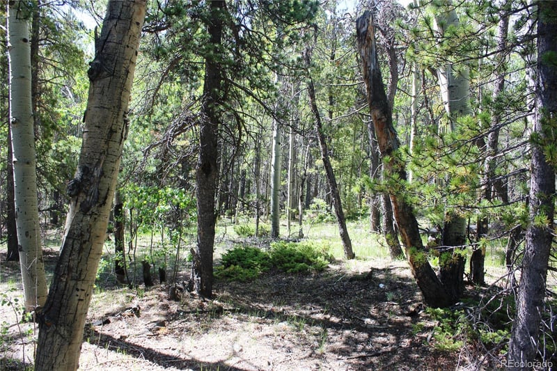 6050 Virginia Canyon Rd Lot 6050, Central City, CO 80427