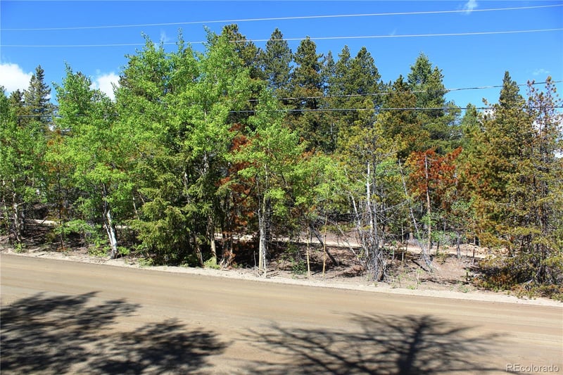 6050 Virginia Canyon Rd Lot 6050, Central City, CO 80427