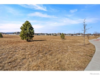 5599 Clarence Dr, Windsor, CO 80550