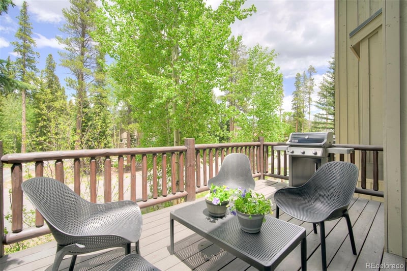 293 Settlers Dr, Breckenridge, CO 80424
