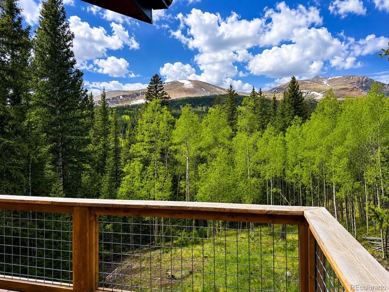 467 Nuthatch Dr, Alma, CO 80420