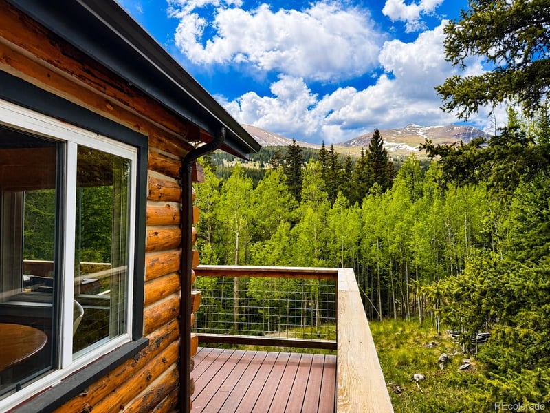 467 Nuthatch Dr, Alma, CO 80420